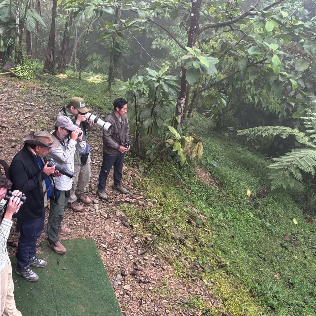 Guests birdwatching tour in the Chocó Andino cloud forest