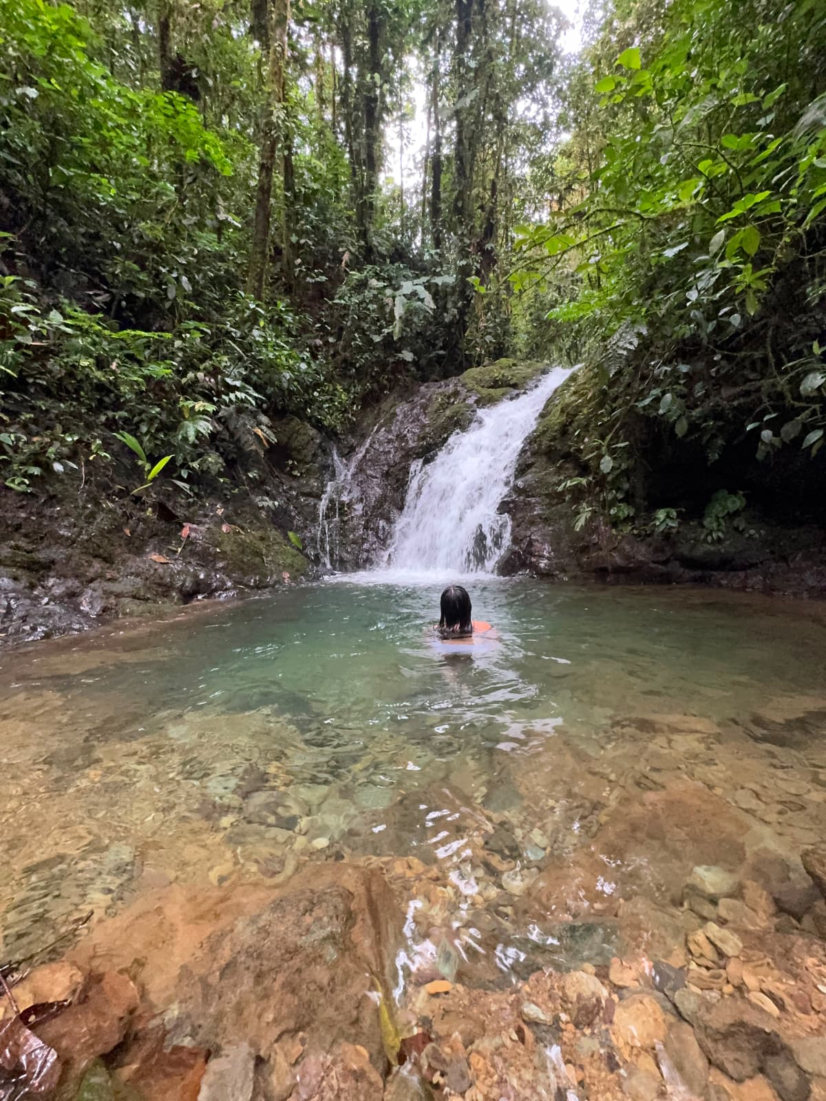 Hidden waterfall in the Mashpi Amagusa Reserve, Ecuador