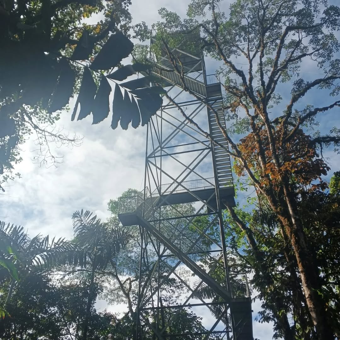 Observation tower over the mist, Mashpi Amagusa cloud forest